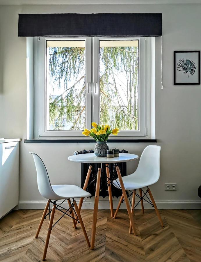 Przytulny Apartament Przy Sokolskiej - 550 Metrow Od Spodka Katowice Kültér fotó